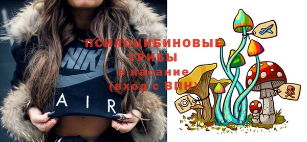 mix Арсеньев