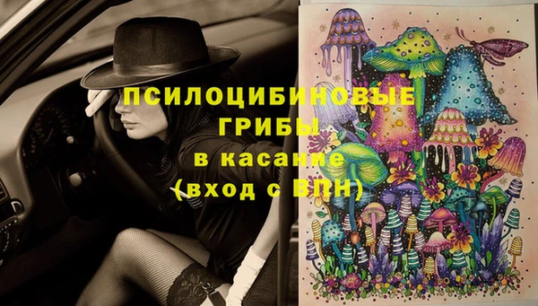 mix Арсеньев