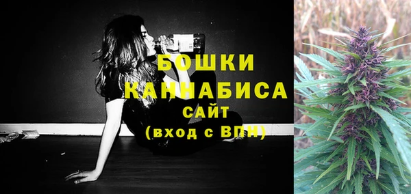 винт Аркадак