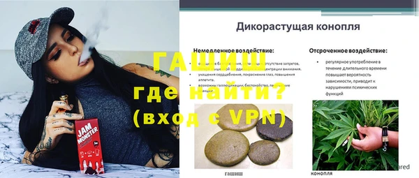 винт Аркадак