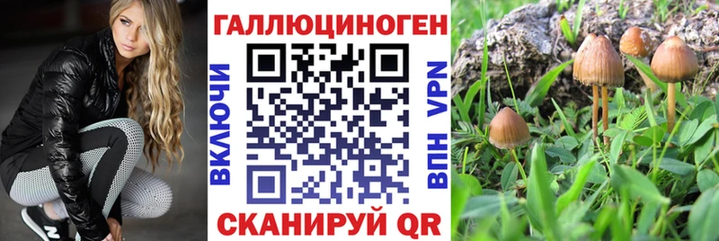 Галлюциногенные грибы мицелий  Городище 