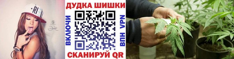 сколько стоит  Городище  Канабис ГИДРОПОН 
